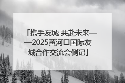 携手友城 共赴未来——2025黄河口国际友城合作交流会侧记